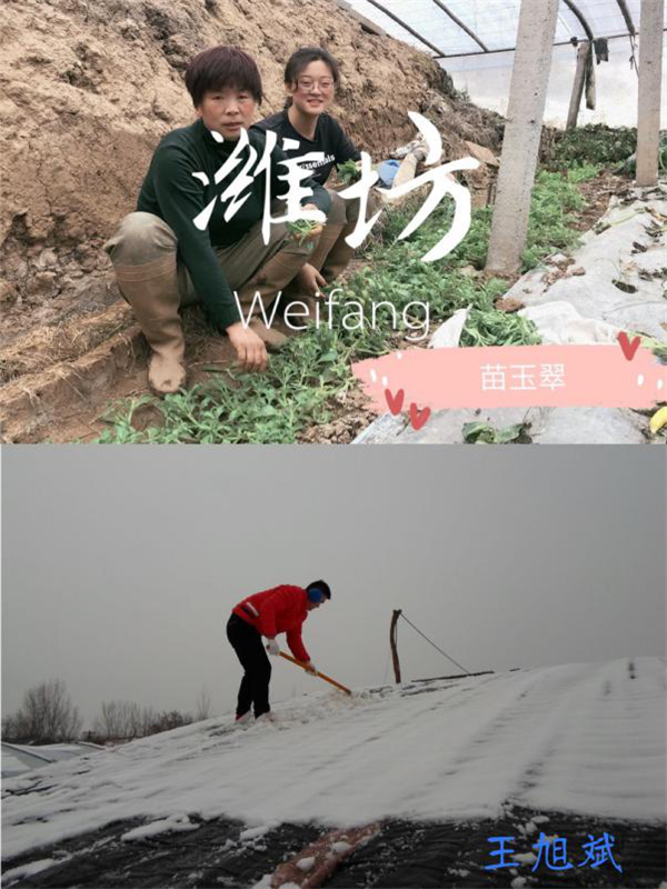 图片5_副本.png