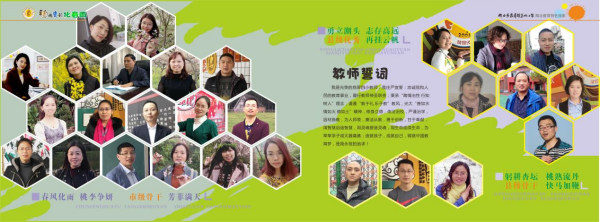 图片 14.png