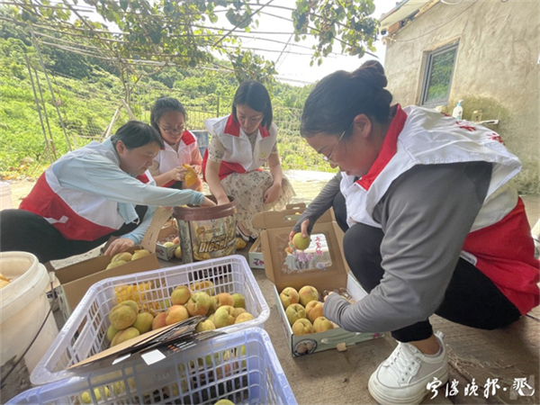 微信图片_20230801092042.jpg88.jpg