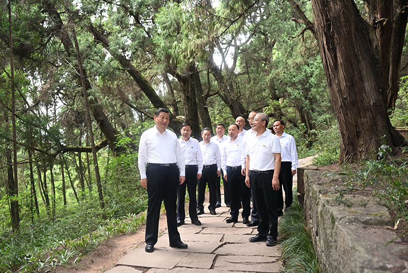 1702343545552035.png 图片 1.png