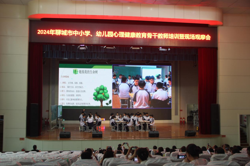 图片 2.png