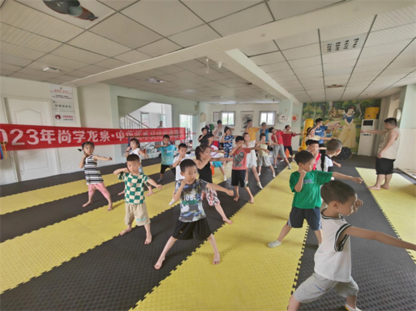 四川成都：传承中华武术，弘扬武术精神——龙泉驿区中华武术文化传承项目取得显著成效496.png