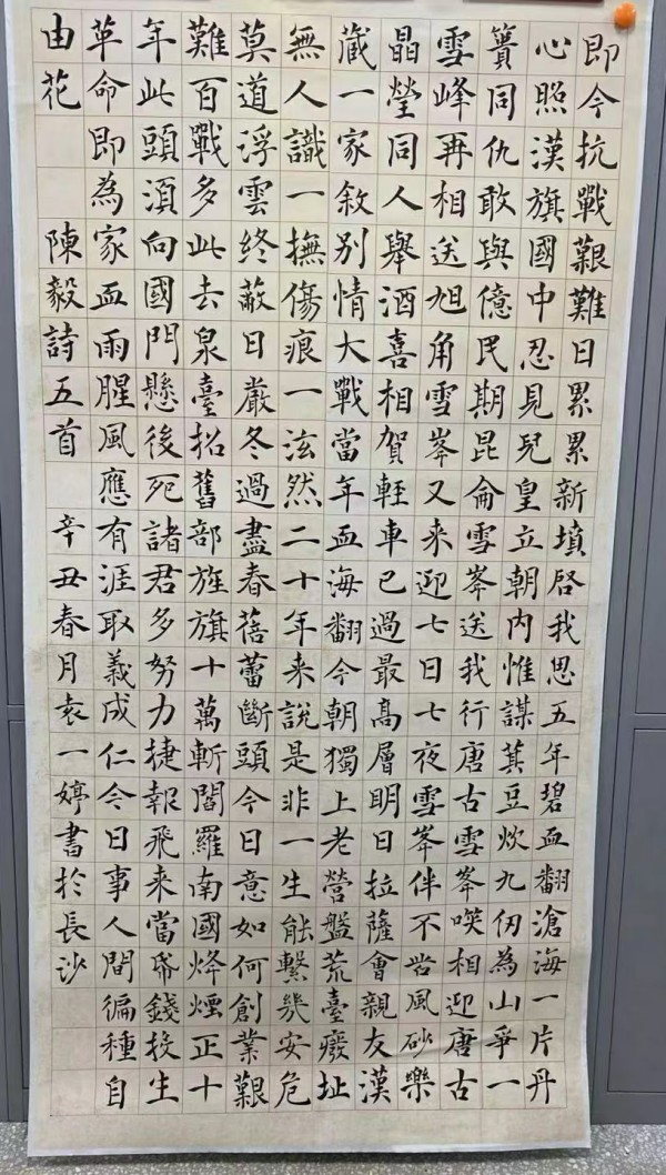 1735789811282863.jpg 82.jpg