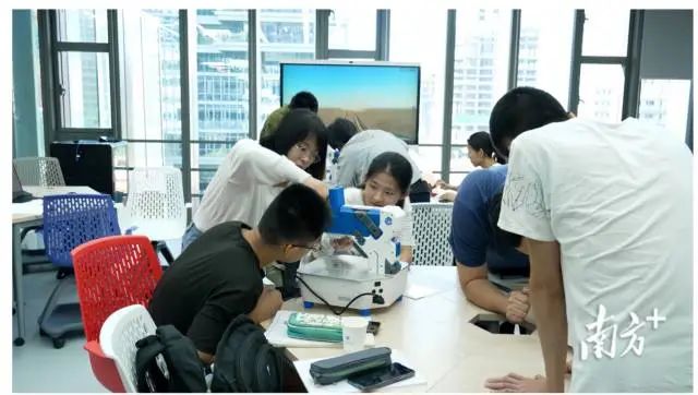 深圳职业技术大学学生在上课。 图片