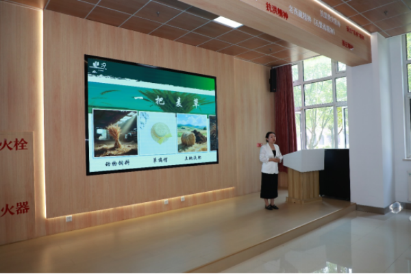 1762503403286305.png 图片 1.png