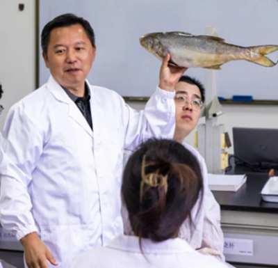 1774418152705812.png 图片24_副本.png