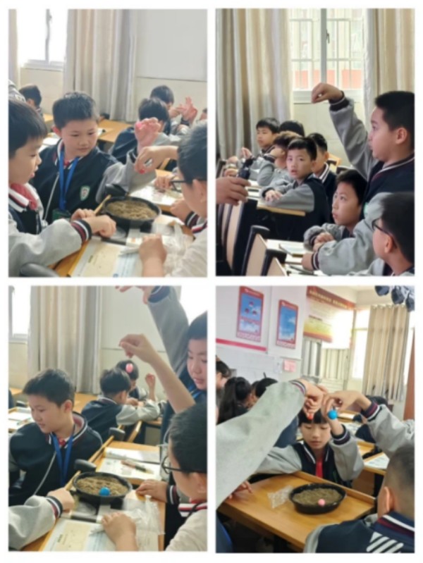 1789108266461796.jpg 图片 4.jpg